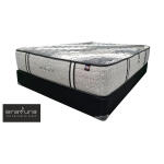 Blackbird Cushion Firm Set Firm Adjustable Friendly 10