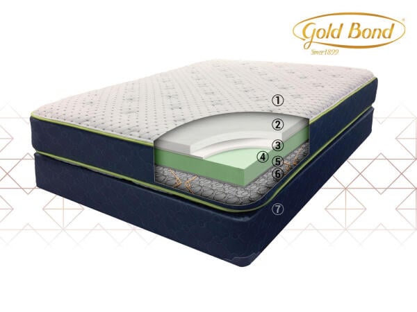 Natural Support 200 Set Firm Display