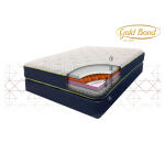 Natural Support 300 Set Full Display 11