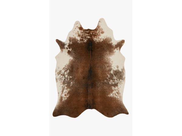 GC-14 Coffee / Ivory Rugs Loloi