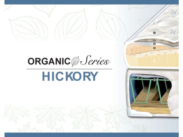 1-Sided Hickory Latex Mattress Only Full Adjustable Friendly 6