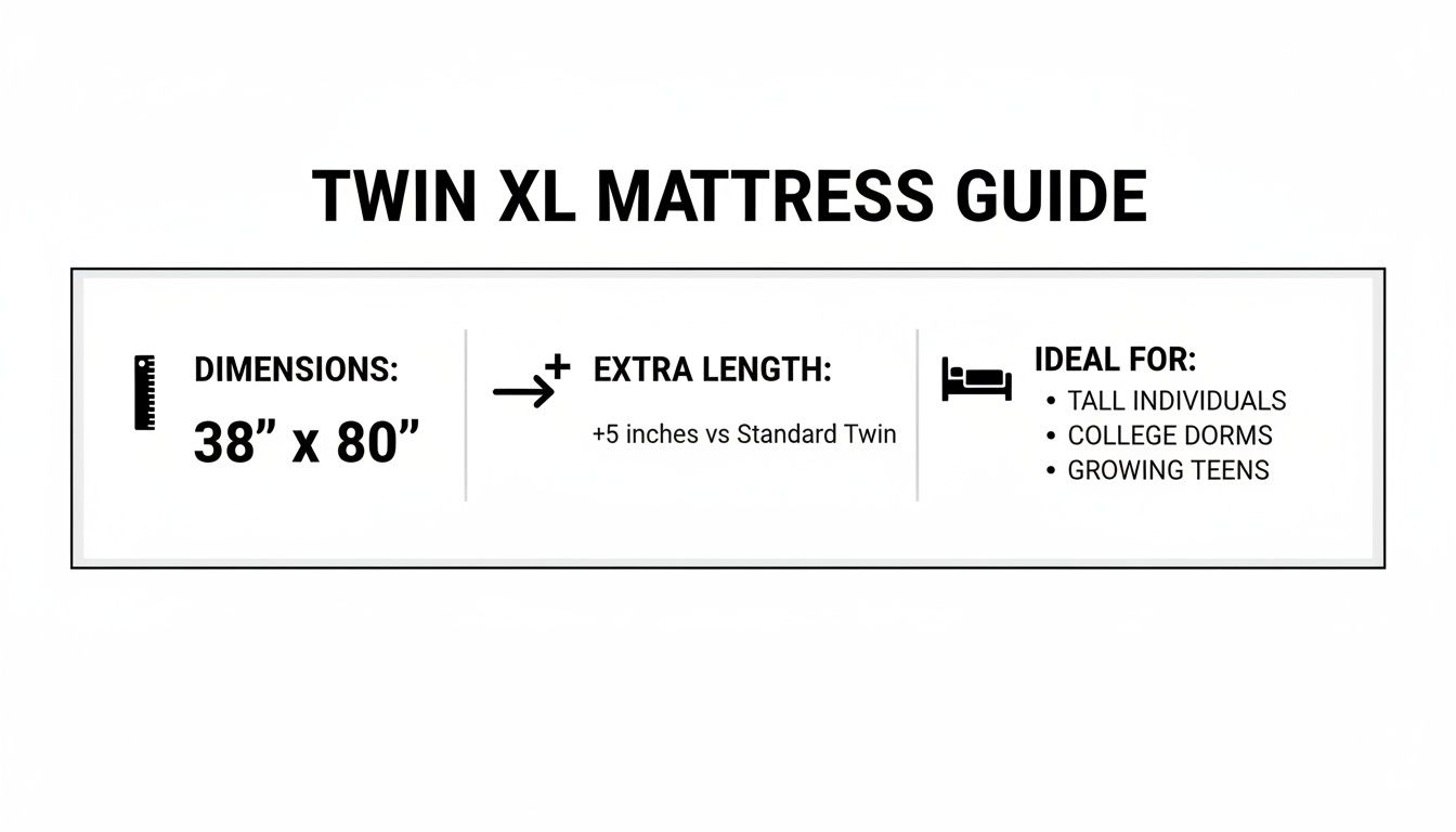 Guide to Twin XL mattress dimensions (38" x 80"), extra length compared to standard twin, and ideal users like tall individuals and college students.