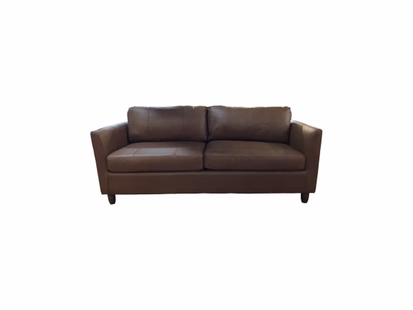 Sam B. Fred. Queen Sleeper Final Price