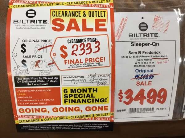 Sam B. Fred. Queen Sleeper Final Price - Image 2
